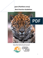 Panthera Onca BPGs 2022