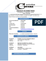 CV Actualizadoaquiles Alvarez Rios - 2024