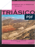 Libro Triásico - Léxico Estratigráfico de La Argentina Vol VIII
