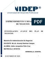 INVESTIGACION Avance Del Plan de Negocios.