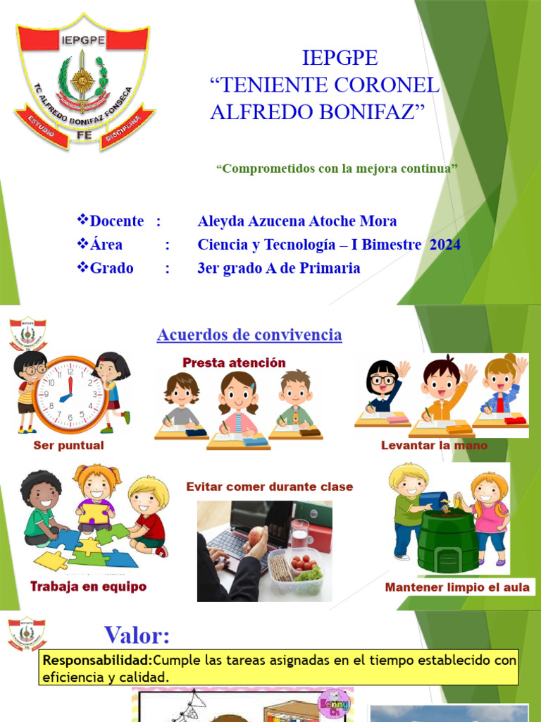 Cyt N 11 Procesos De Digestion Pdf Digestión Sistema Digestivo