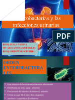 Infecciones Urinarias