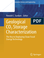 Surdam-2013 - Geological CO2 Storage Characteri