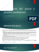 Derecho Procesal Penal Probation