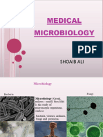 Introduction of Micro DPT