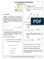 7° P.D. N°5 - Magnitudes Vectoriales Ii