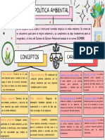 Politica Del Ambiente