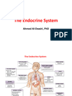 Endocine System Physiology 20-4-2020