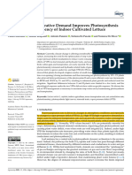 Amitrano2021_Reducing the Evaporative Demand Improves Photosynthesis and Water Use Efficiency of Indoor Cultivated Lettuce