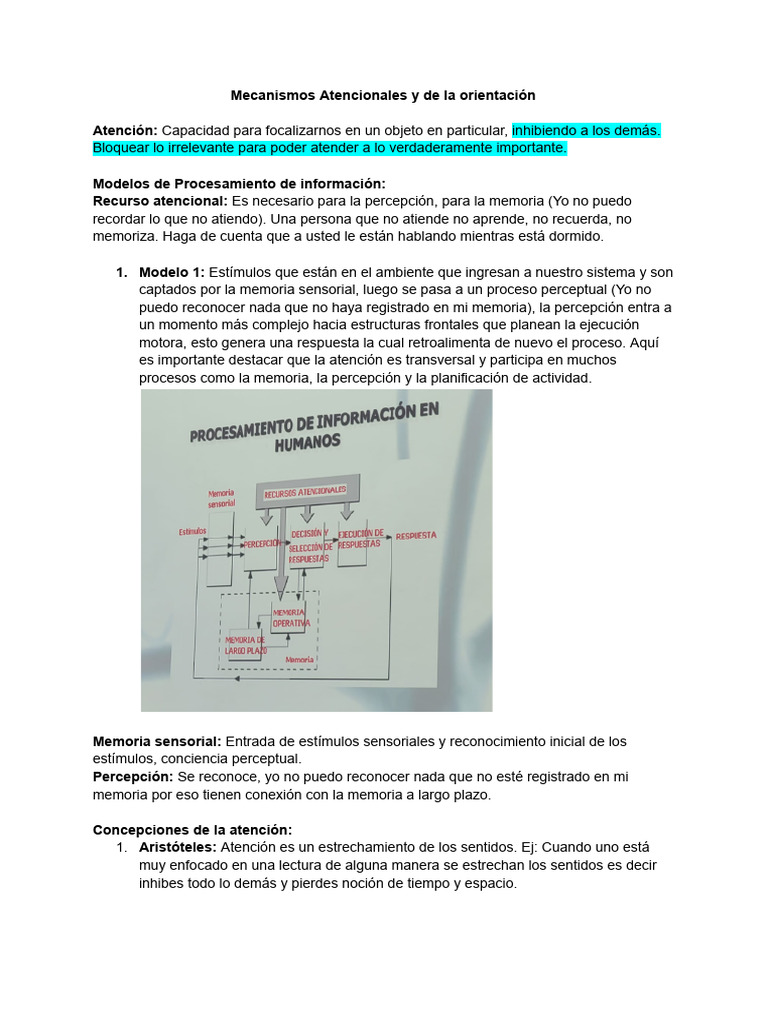 Mecanismos Atencionales y de La Orientación | PDF | Atención | Memoria