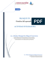 Act Integra bIV - Gestion