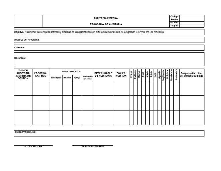 Programa de auditoria | PDF | Auditoría | Business