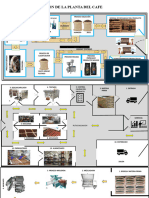 Distribucion de La Planta Del Cafe