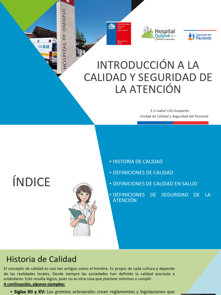 Módulo N 1 Introducción A La Calidad Y Seguridad De La Atención Pdf