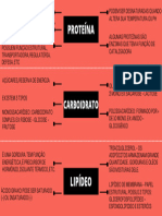 Mapa Mental Mapeando A Empresa