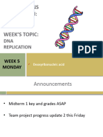 BIOL1951 DNA Replication