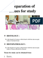 Tissue Preparation For Microscopic Examination