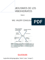 Tema 8.metabolismo de Los Carbohidratos 12-11