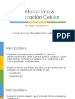 4-1 Metabolismo & Respiración Celular