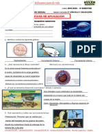 3º Cir y Selecc Biologia Resuelto