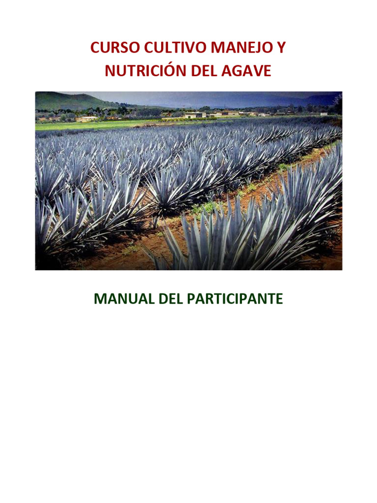 Cultivo y nutrición del agave | PDF | Fertilizante | Suelo