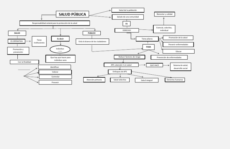 Mapa Conceptual de La Salud Publica 2 | PDF | Salud pública | Cuidado ...