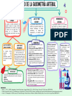 Gasometría Arterial