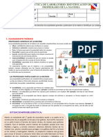 Pràctica-Propiedades de La Materia