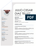 CV Julio Cesar Diaz Tellez