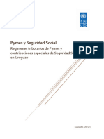 PYMES y Seguridad Social Informe (CINVE Y PNUD)