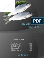 Budidaya Ikan Bandeng Fix