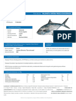 FT-11-Palometa Entera (Parona Signata) - Min