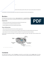 The Carpal Tunnel - Borders - Contents - TeachMeAnatomy