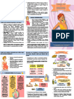 PDF Alimentacion en El Embarazo Folleto Compress
