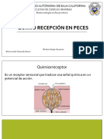 Quimiorecepcion