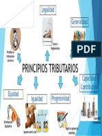 PRINCIPIOS TRIBUTARIOS - Fiscal ADRIANNY