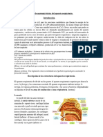 Resúmen Sobre La Anatomia Cardio Respiratoria