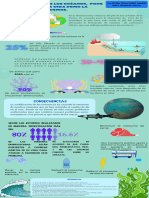 Acidifación de Los Oceanos