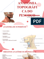 ANATOMIA TOPOGRÁFICA DO PESCOÇO - Seminário Dr. Eduardo