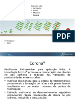 Corona - Apresentação MKT