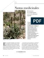 Plantas Medicinales: Interacciones Con Medicamentos y Con Otros Fármacos Vegetales