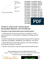 8+non-muscle+actin,+IFs,+adhesion-2