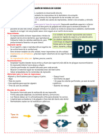 1 Toma de Impresiones y Construcción de Modelos de Estudio