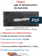 Chap.4. Morphologie Et Ultrastructure Des Bactéries