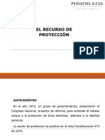 El Recurso de Protección