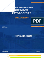 3 y 4. Inflamacion