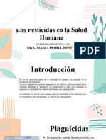 Los Pesticidas en La Salud Humana