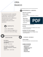 Curriculum Vitae Profesional Mujer Con Iconos Moderno Beige y Blanco