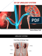 Pathology of Urology System
