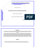 Mapa Semántico Sobre Las Metas Paradigma de La Enfermería